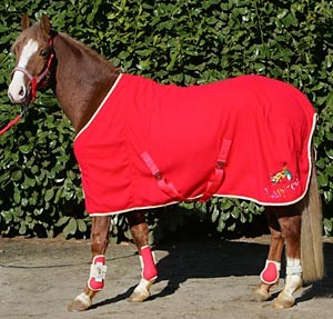 Obrazek